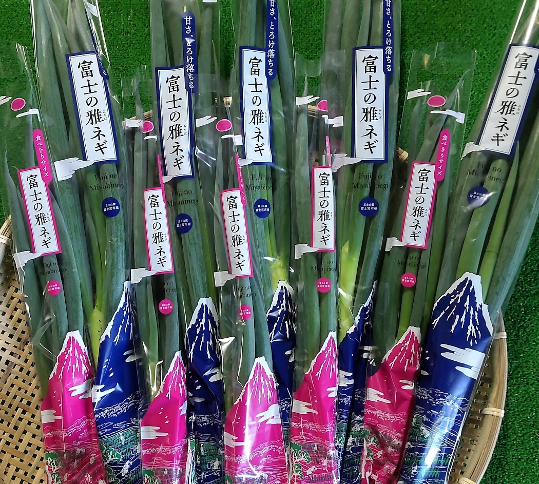 山採り　ネジキ ⑤富士の雅ネギ.jpg